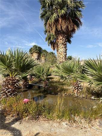 80 Acres of Agricultural Land for Sale in Bunkerville, Nevada