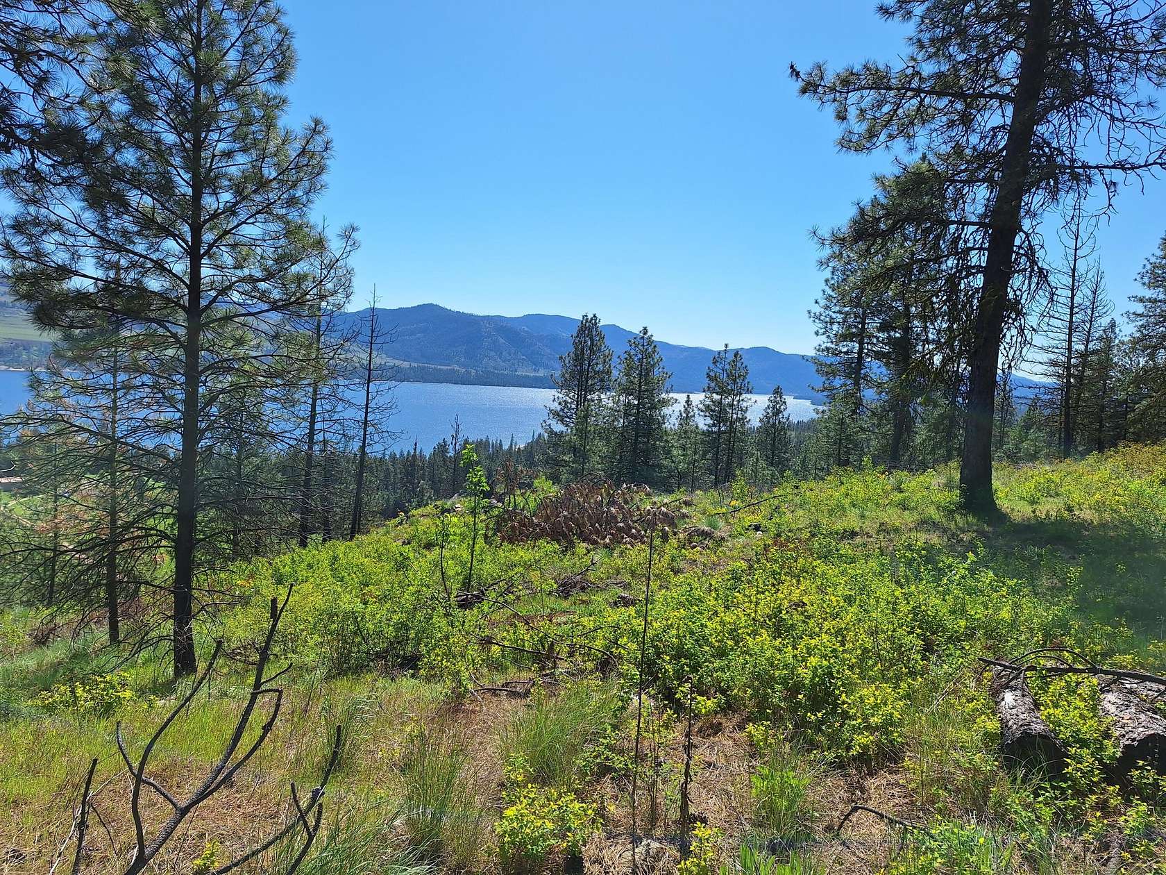 39.5 Acres of Recreational Land for Sale in Kettle Falls, Washington