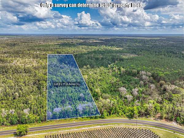12.7 Acres of Recreational Land for Sale in Crescent City, Florida