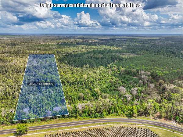 12.7 Acres of Recreational Land for Sale in Crescent City, Florida