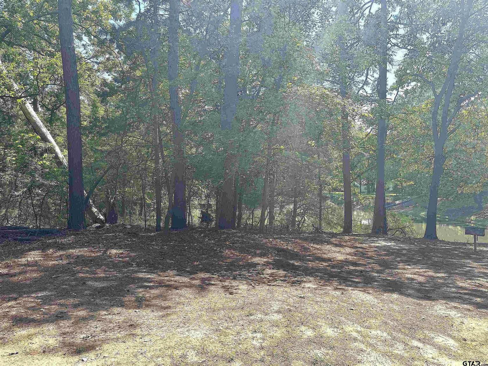 0.5 Acres of Residential Land for Sale in Mount Vernon, Texas