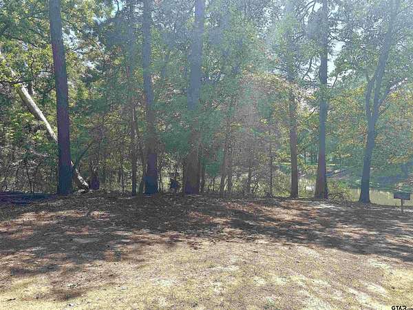 0.5 Acres of Residential Land for Sale in Mount Vernon, Texas