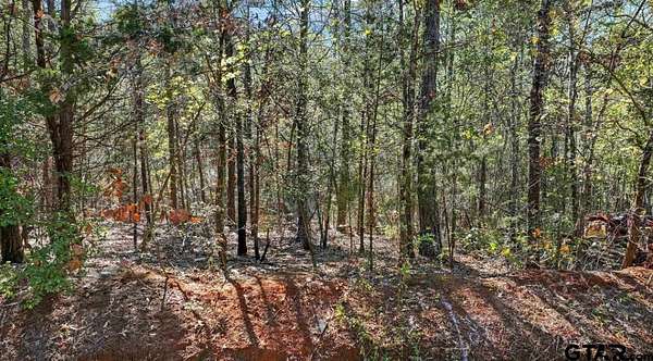 3.4 Acres of Land for Sale in Tyler, Texas