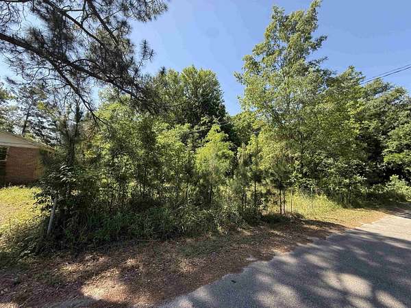0.18 Acres of Residential Land for Sale in Mullins, South Carolina