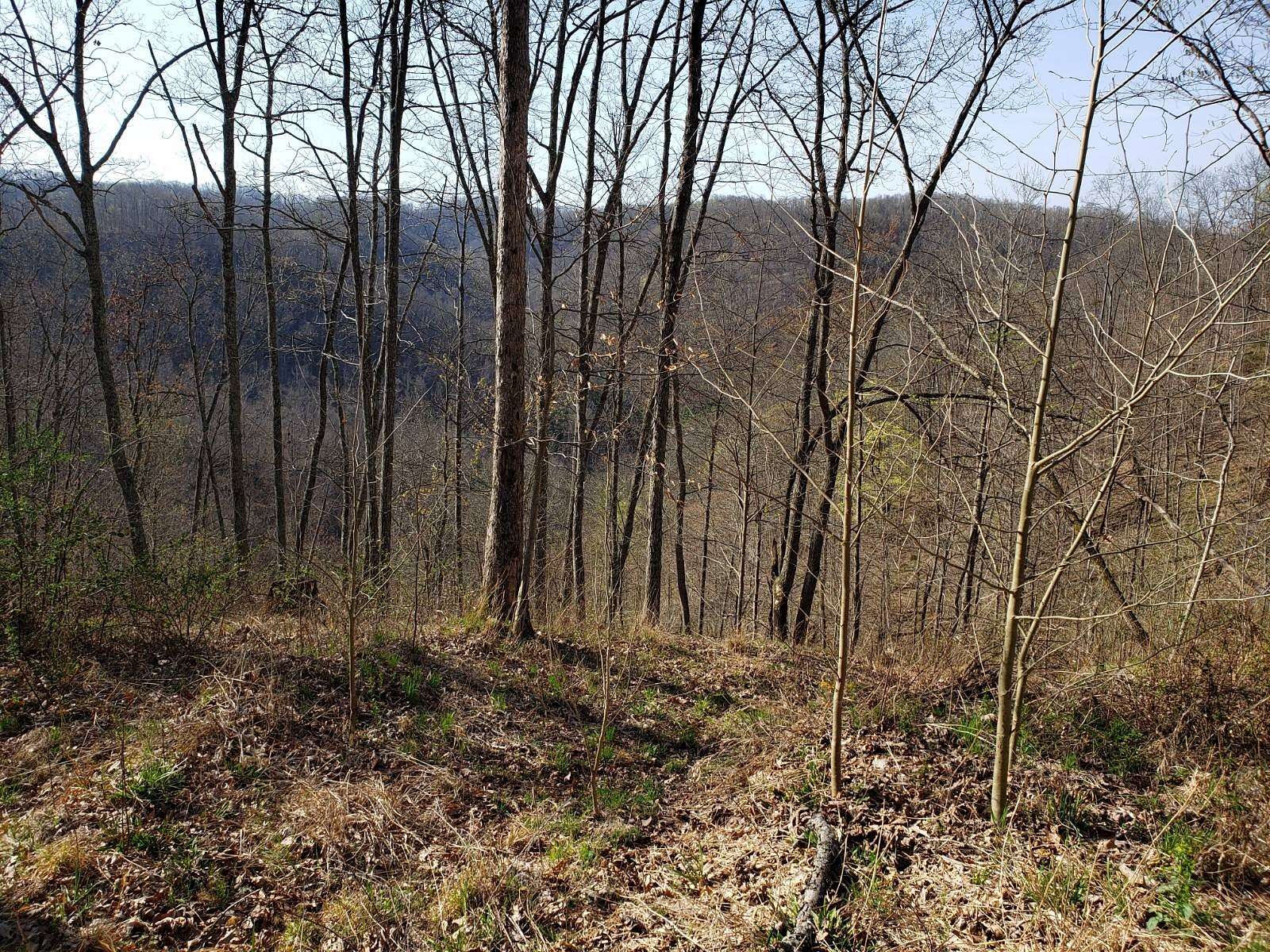 45.5 Acres of Recreational Land for Sale in Frametown, West Virginia