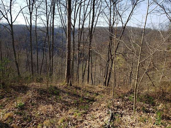 45.5 Acres of Recreational Land for Sale in Frametown, West Virginia