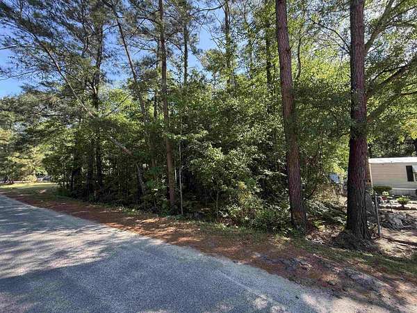 0.41 Acres of Residential Land for Sale in Mullins, South Carolina