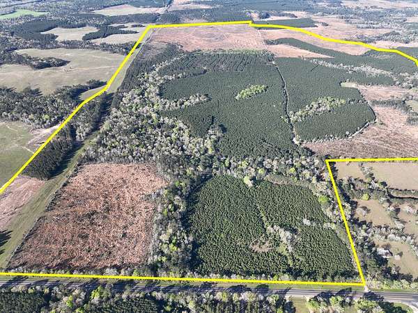 1,526 Acres of Recreational Land for Sale in Livingston, Texas