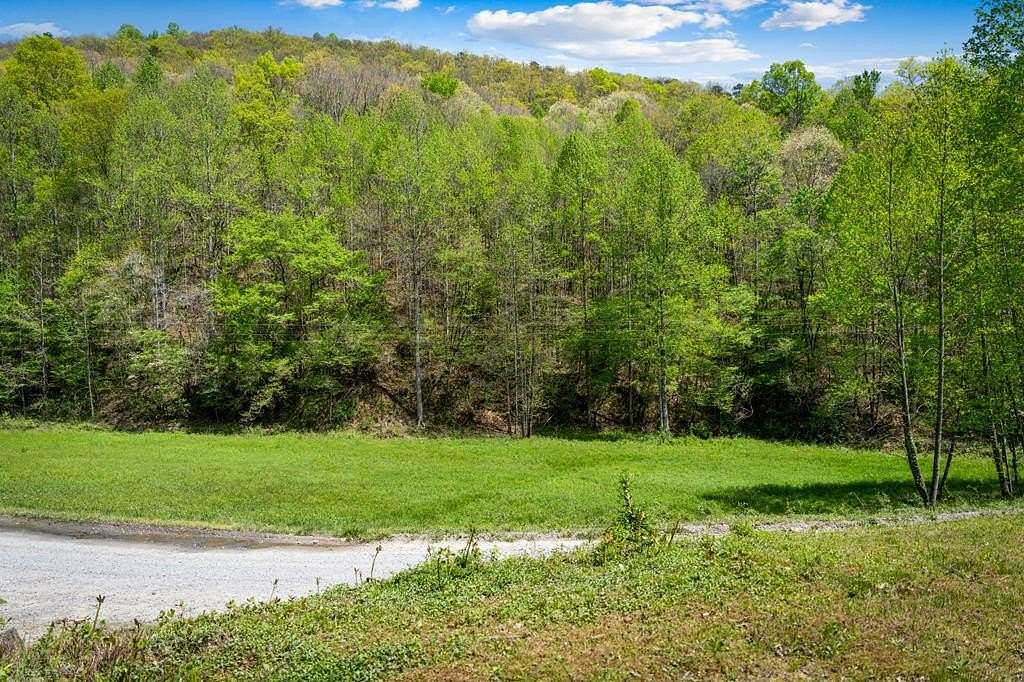 49 Acres of Recreational & Residential Land for Sale in Cherry Log, Georgia