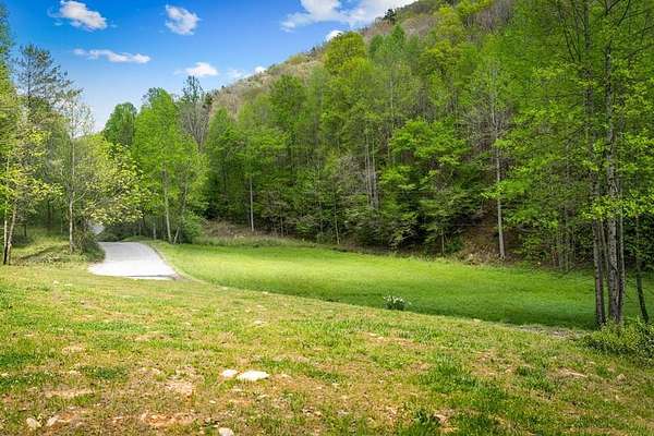 49 Acres of Recreational & Residential Land for Sale in Cherry Log, Georgia