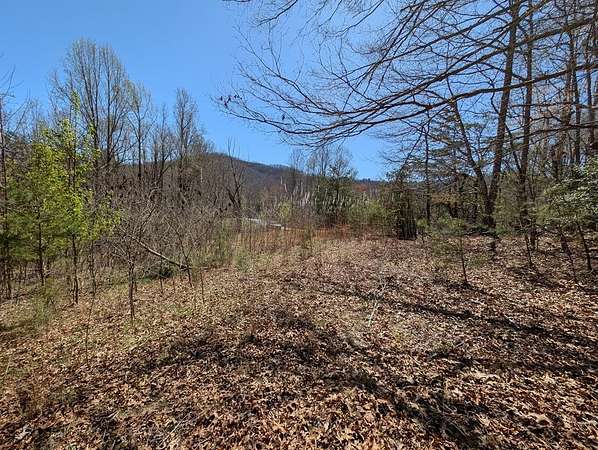 1 Acre of Land for Sale in Hayesville, North Carolina