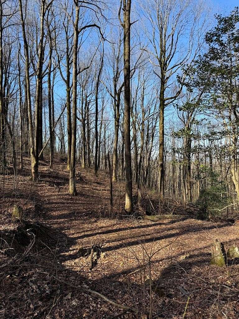 9.55 Acres of Residential Land for Sale in Ellijay, Georgia