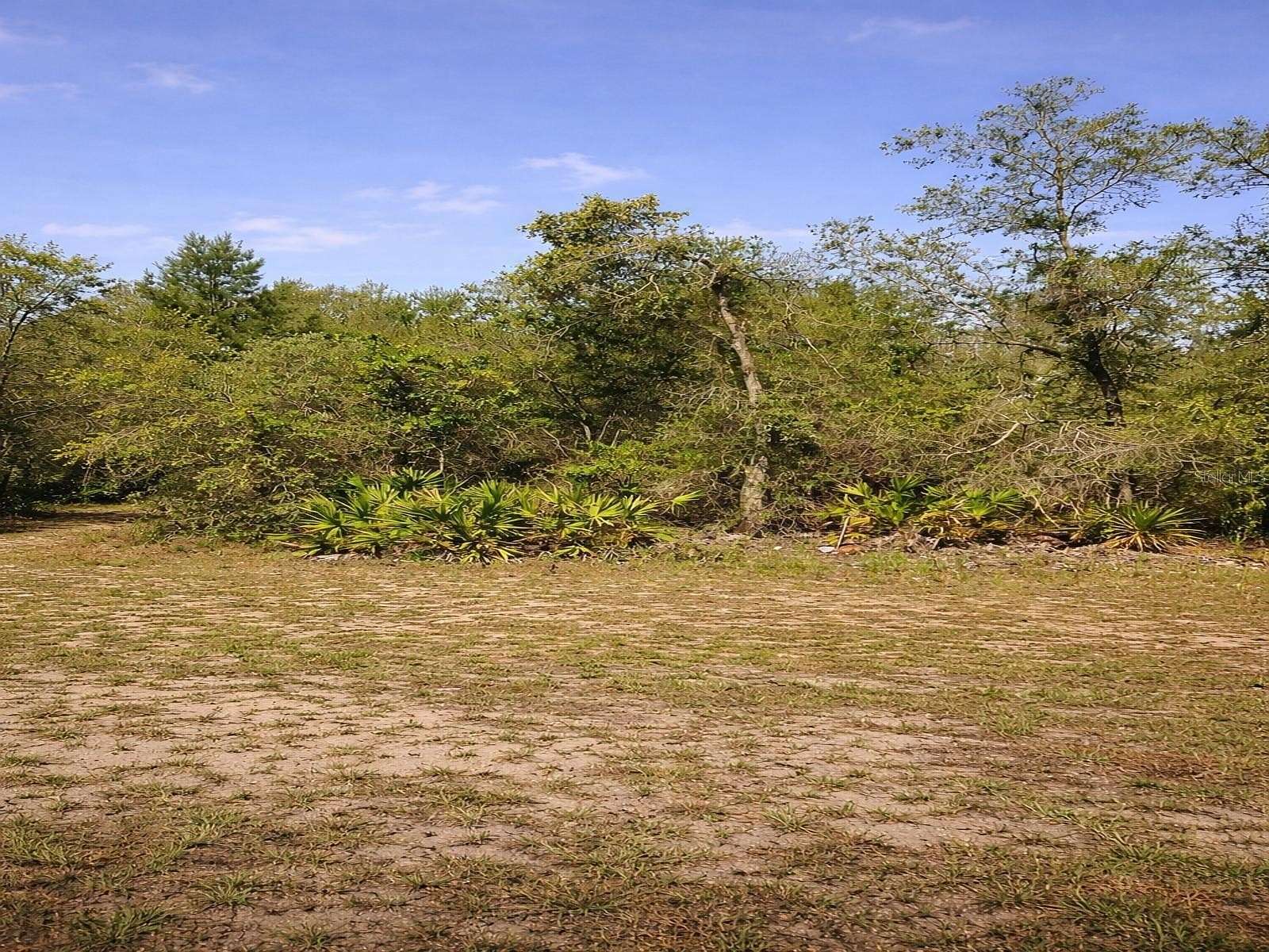 0.51 Acres of Residential Land for Sale in Lake Wales, Florida