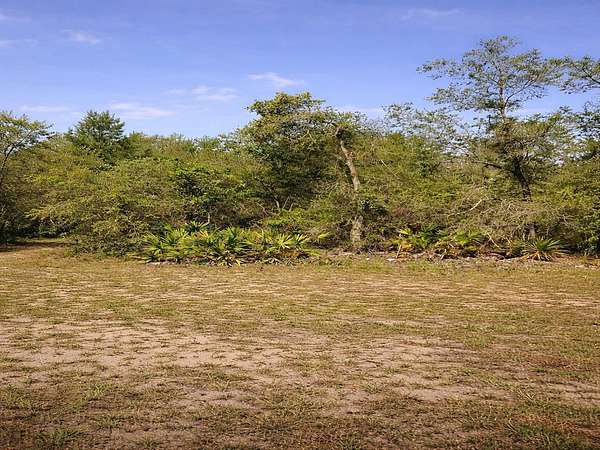 0.51 Acres of Residential Land for Sale in Lake Wales, Florida