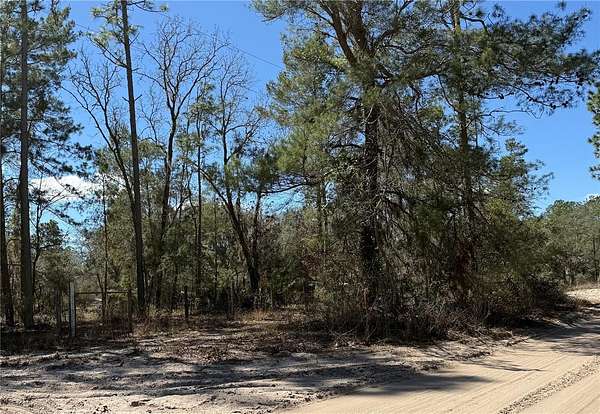 3 Acres of Residential Land for Sale in Fort McCoy, Florida