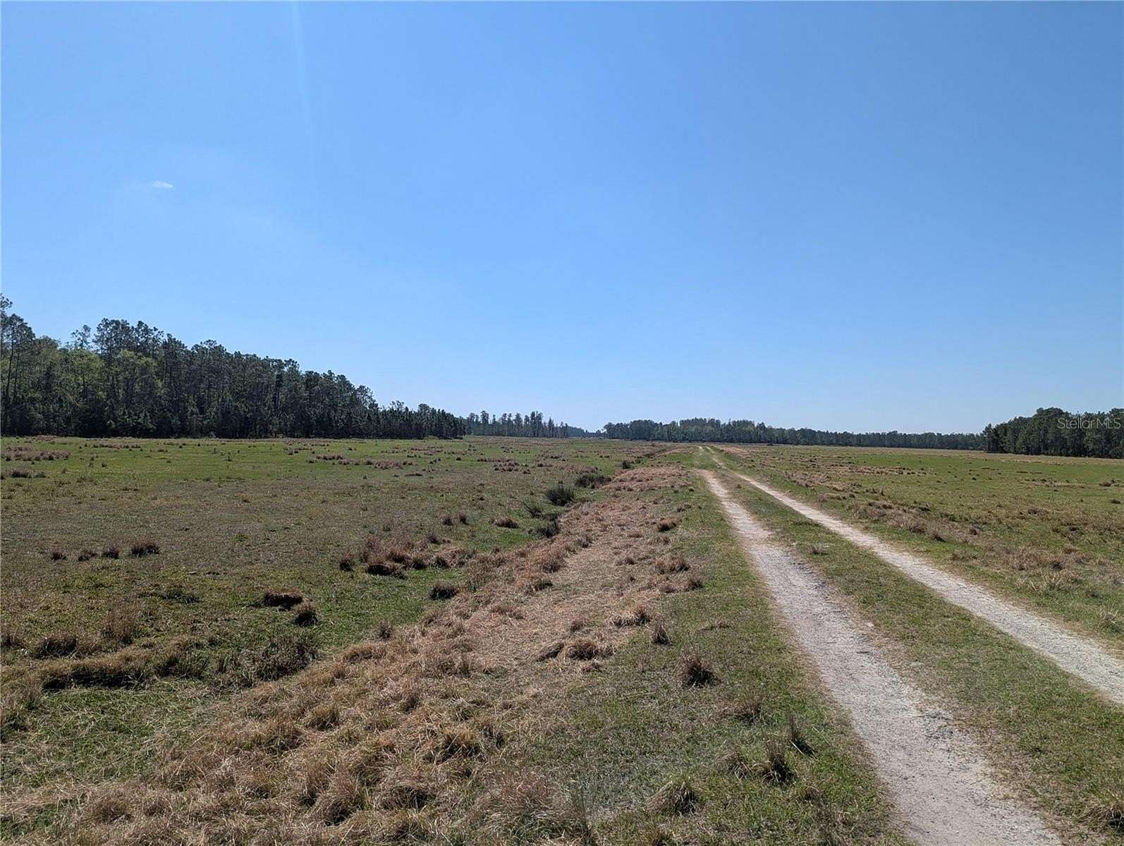 3.8 Acres of Residential Land for Sale in Polk City, Florida