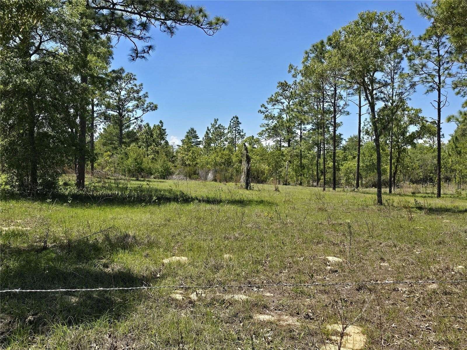 1 Acre of Residential Land for Sale in Williston, Florida