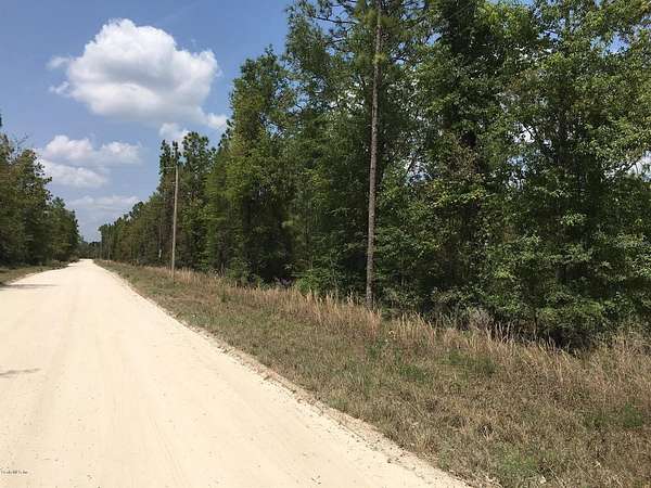 3 Acres of Residential Land for Sale in Williston, Florida