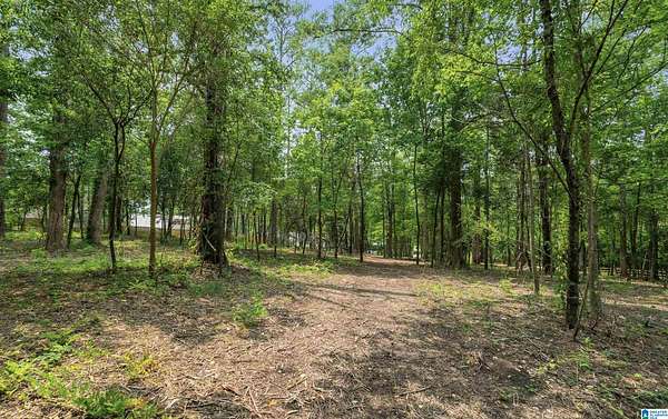 3 Acres of Residential Land for Sale in Hoover, Alabama