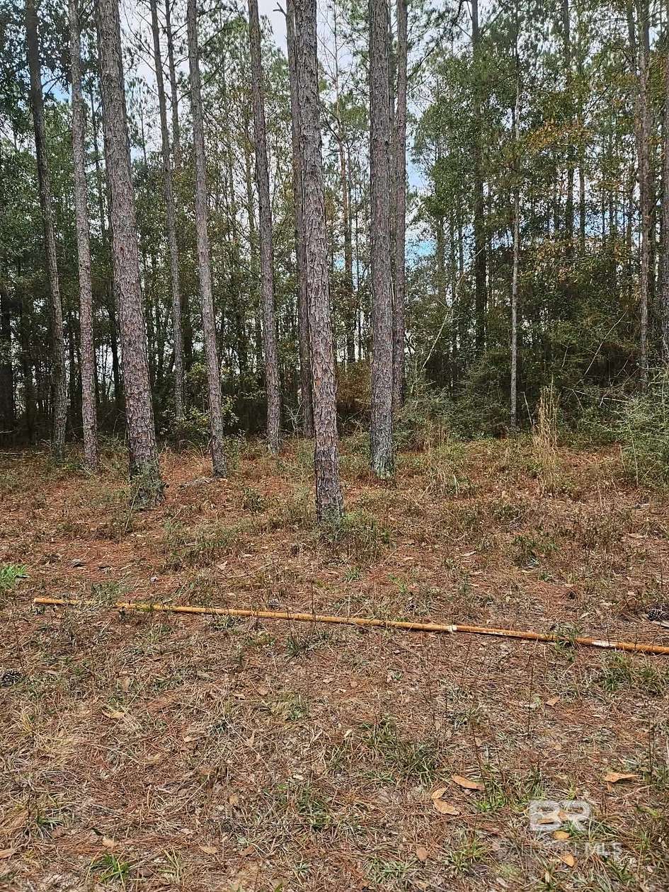 1.18 Acres of Land for Sale in Elberta, Alabama