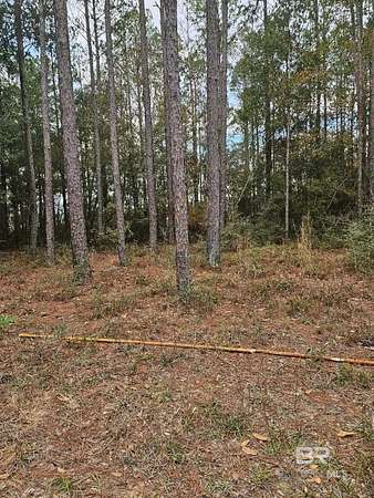 1.18 Acres of Land for Sale in Elberta, Alabama