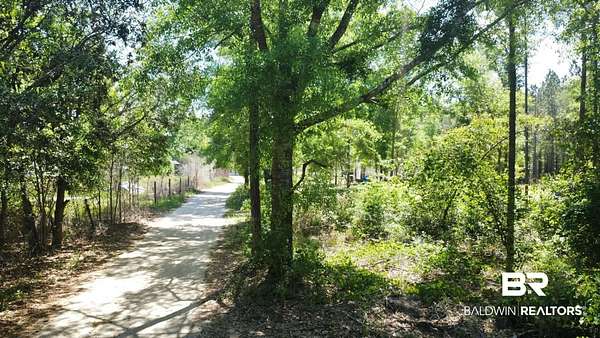 2.58 Acres of Residential Land for Sale in Seminole, Alabama