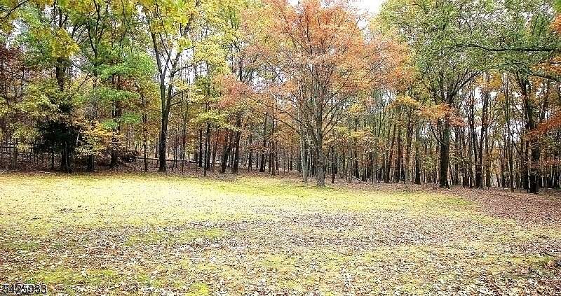 75.4 Acres of Land for Sale in Wantage Township, New Jersey
