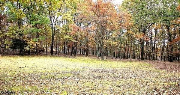 75.4 Acres of Land for Sale in Wantage Township, New Jersey