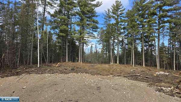 13.7 Acres of Recreational & Residential Land for Sale in Crane Lake, Minnesota