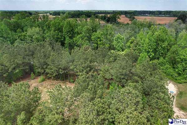 7.65 Acres of Residential Land for Sale in Latta, South Carolina