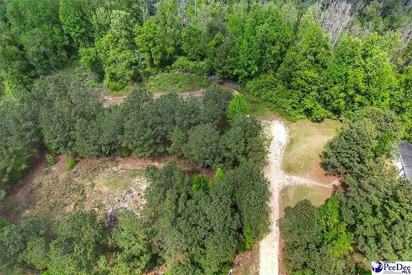 7.65 Acres of Residential Land for Sale in Latta, South Carolina
