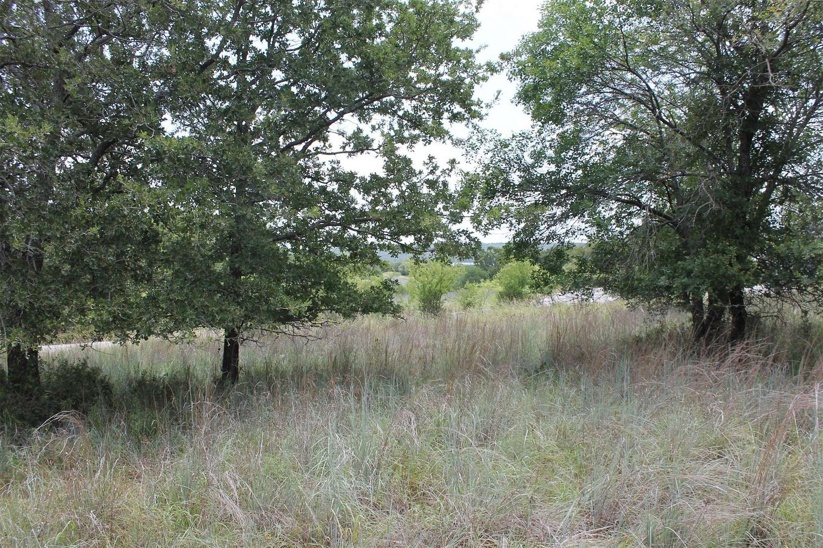 1.5 Acres of Residential Land for Sale in Chico, Texas