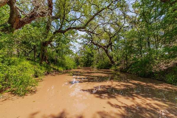 752 Acres of Land for Sale in Coleman, Texas