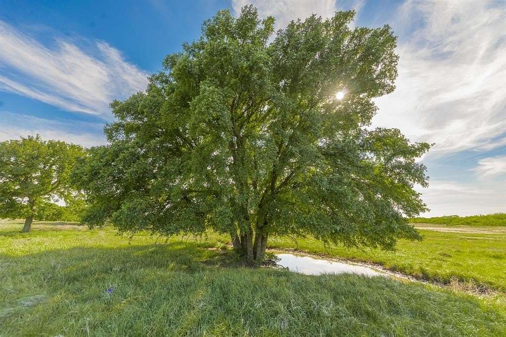 272 Acres of Land for Sale in Coleman, Texas