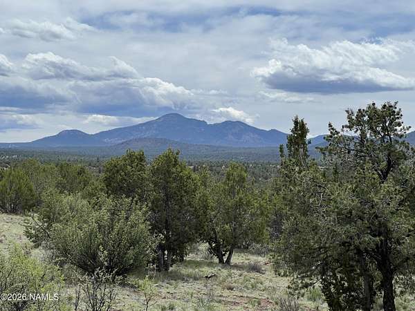 10 Acres of Residential Land for Sale in Williams, Arizona