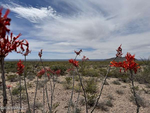 6.27 Acres of Residential Land for Sale in Las Cruces, New Mexico