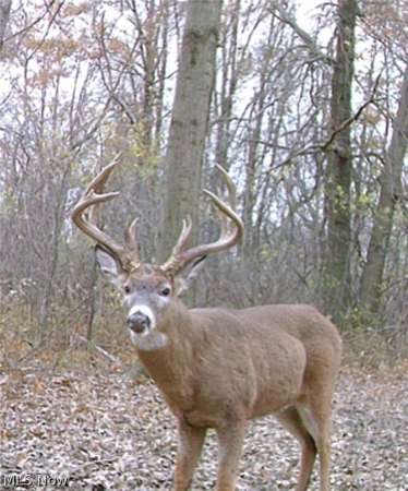 30 Acres of Land for Auction in Ashtabula, Ohio