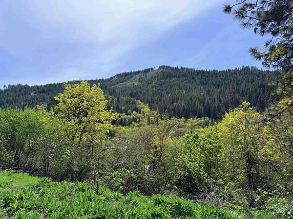 15.9 Acres of Land for Sale in Orofino, Idaho
