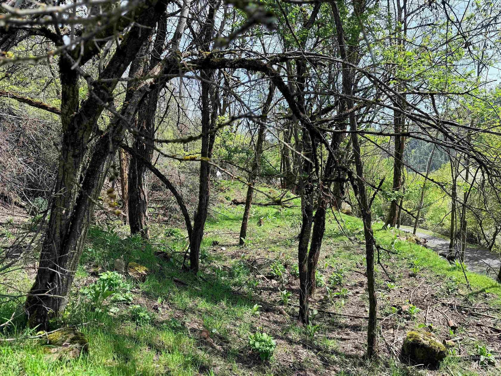 0.8 Acres of Residential Land for Sale in Orofino, Idaho