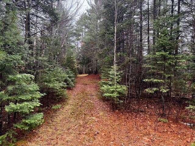 48.4 Acres of Recreational Land for Sale in Lexington Township, Maine