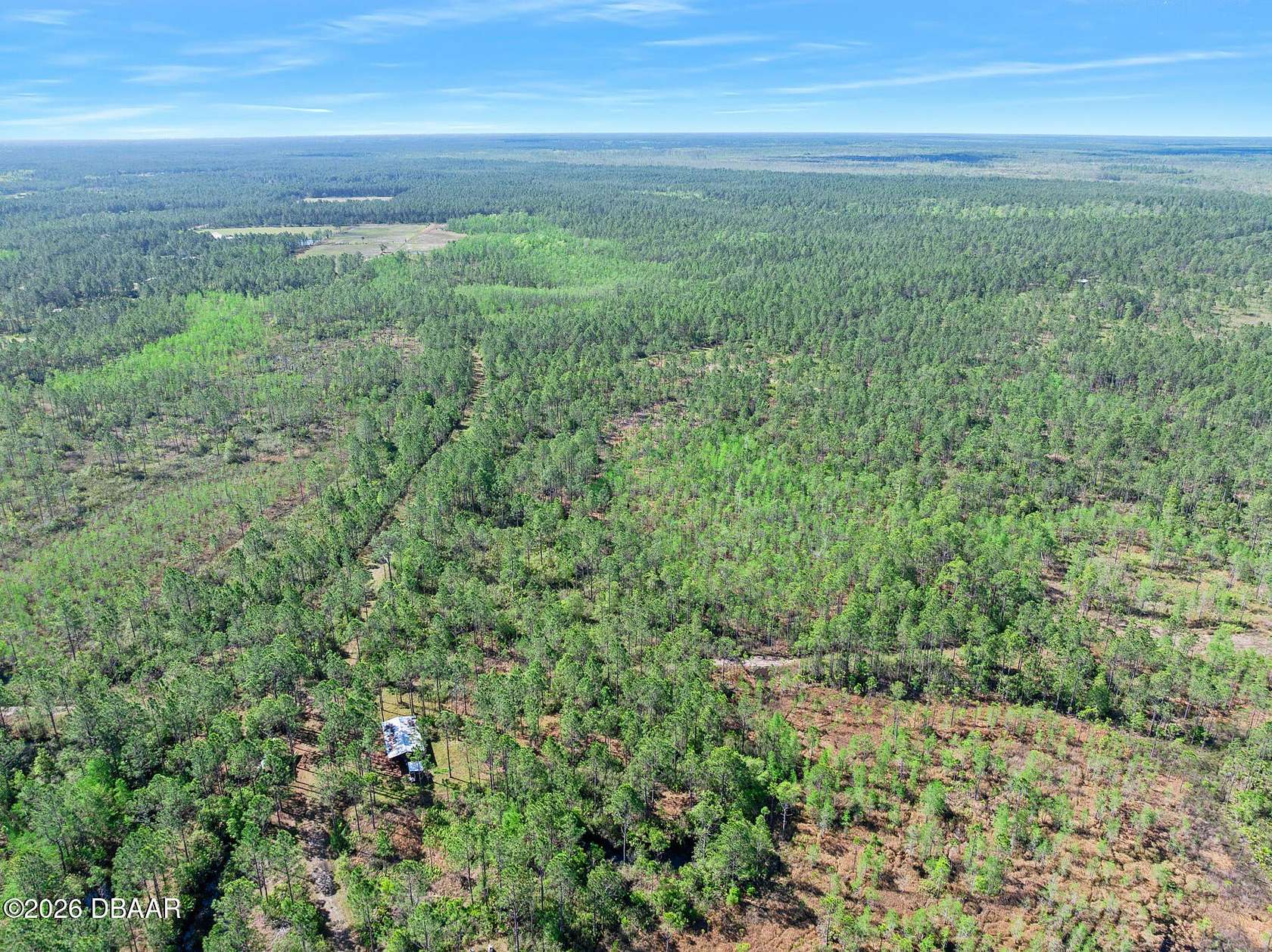 40 Acres of Recreational & Residential Land for Sale in Bunnell, Florida