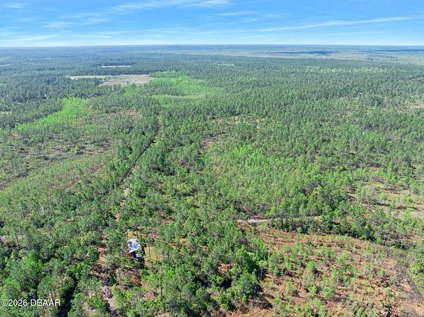 40 Acres of Recreational & Residential Land for Sale in Bunnell, Florida