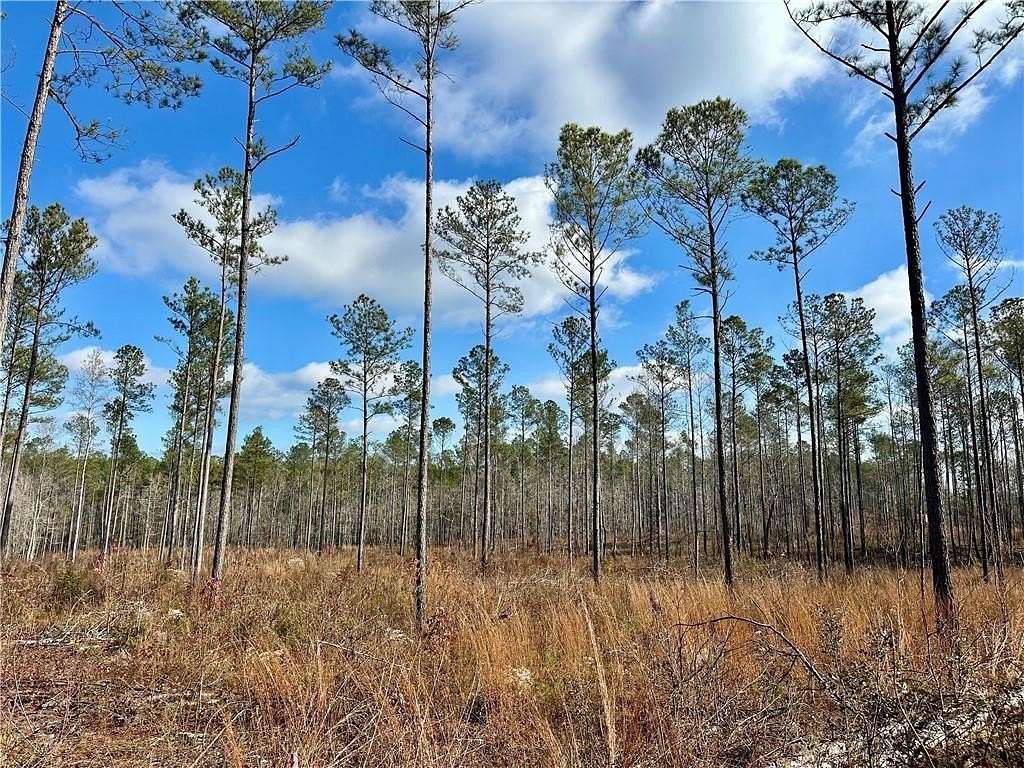 22.8 Acres of Recreational & Residential Land for Sale in Salem, Alabama