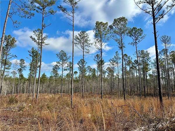 22.8 Acres of Recreational & Residential Land for Sale in Salem, Alabama