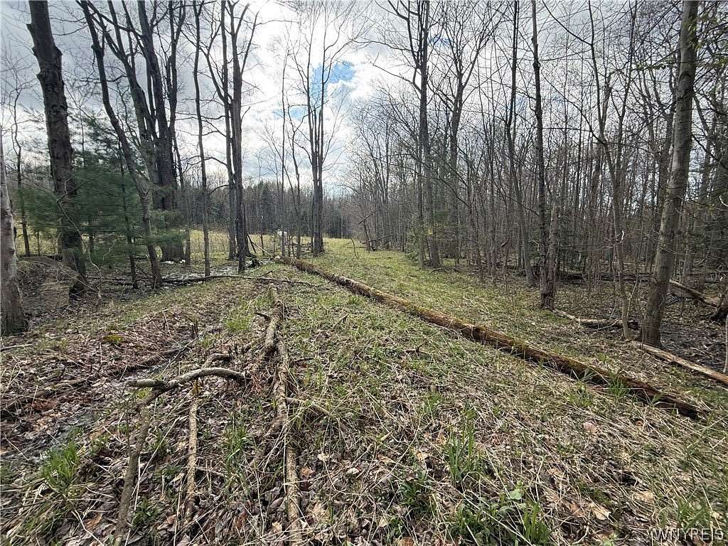 3 Acres of Land for Sale in Boston, New York