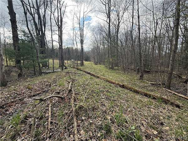 3 Acres of Land for Sale in Boston, New York