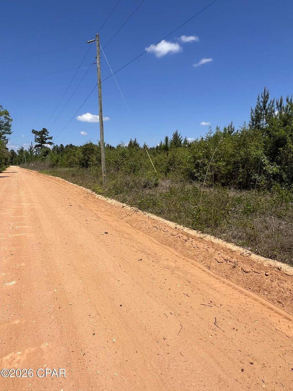 117 Acres of Recreational Land for Sale in Chipley, Florida