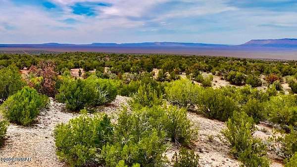 9.34 Acres of Residential Land for Sale in Seligman, Arizona