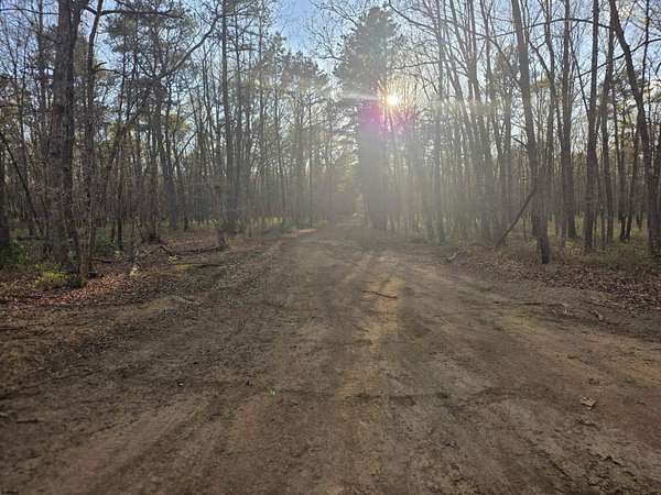 39.7 Acres of Recreational Land for Sale in Mays Landing, New Jersey