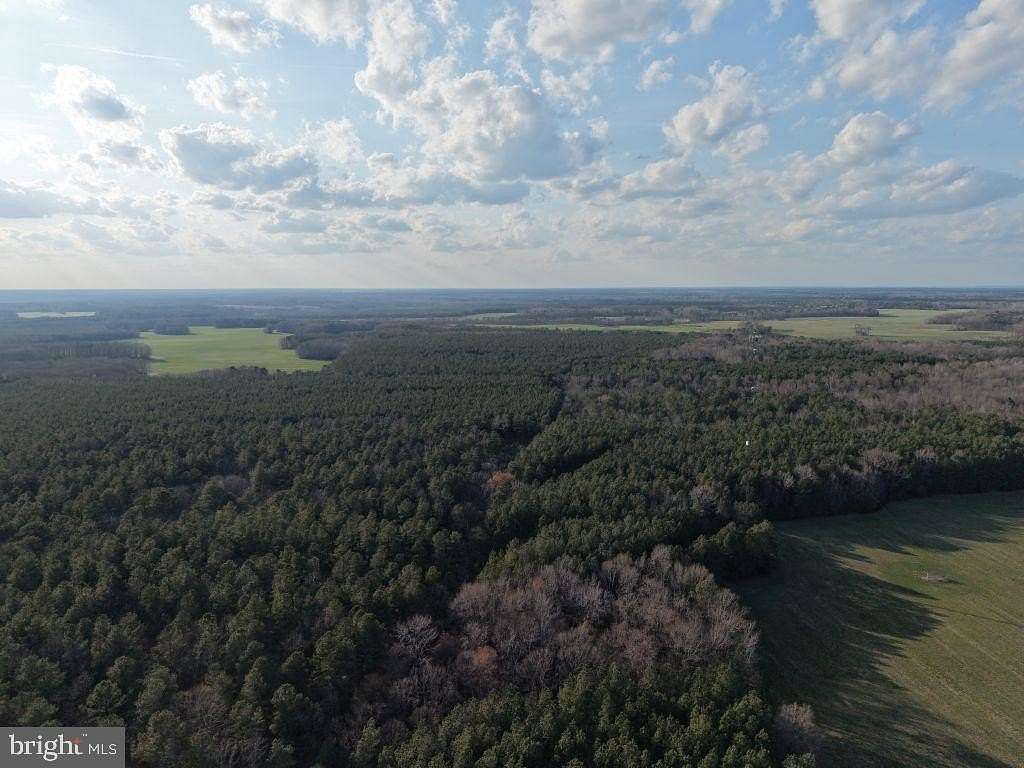 800 Acres of Recreational & Residential Land for Sale in Jamaica, Virginia